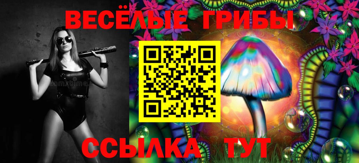 Галлюциногенные грибы Magic Shrooms Саратов